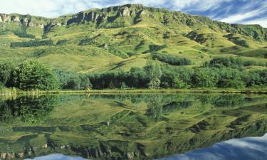 Коттеджи в регионе Drakensberg