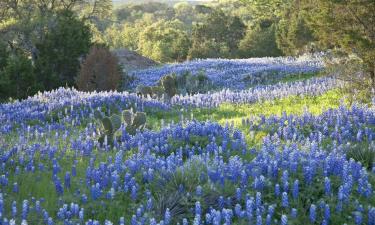 فنادق في Texas Hill Country