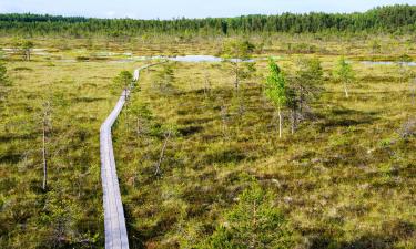 Хотели в района на Soomaa National Park