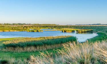 Bungalowit alueella Noord Beveland