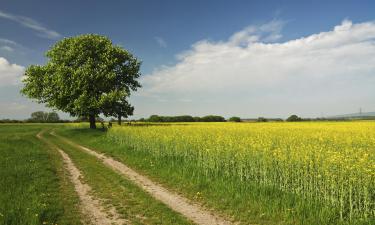 بيوت ضيافة في Südburgenland