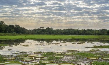 Готелі в регіоні Mato Grosso do Sul