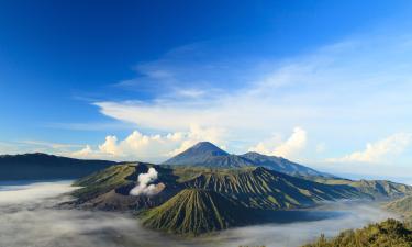 East Java: case per le vacanze