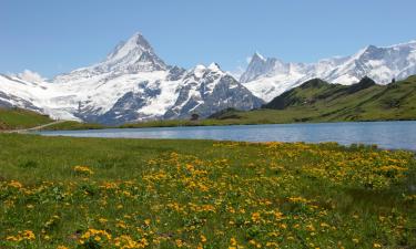 Hotels a Bernese Oberland