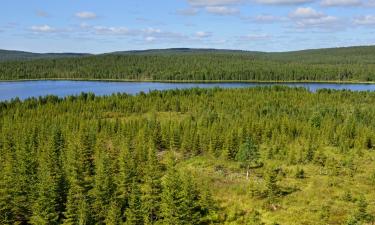 Lapponia finlandese: hotel