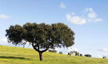 Boenden vid stranden i Alentejo