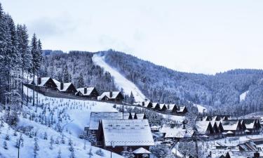 Hotels amb piscina a Bukovel Ski