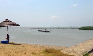 Варианты жилья у пляжа в регионе Lake Neusiedl