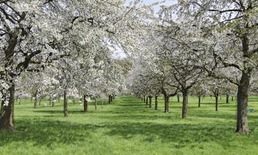 Khách sạn ở Limburg