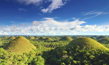 Obiekty na wynajem sezonowy w regionie Bohol