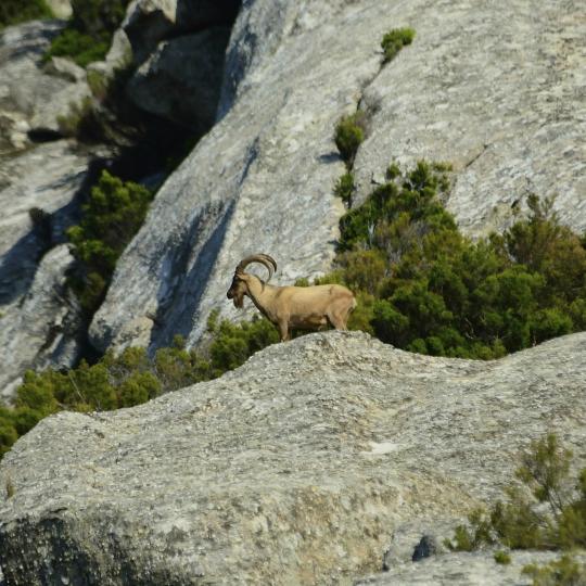 Entdecken Sie die Hügel des rautenförmigen Montecristo