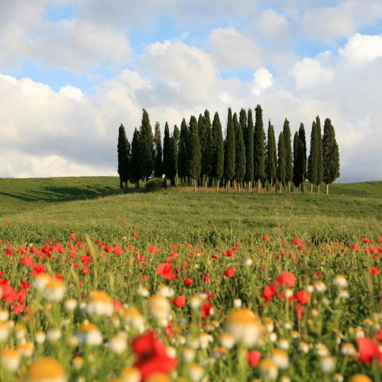 Val d’Orcia, una vall protegida per la UNESCO