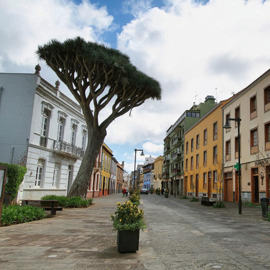 Bandar lama San Cristóbal De La Laguna