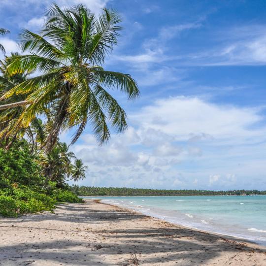 Tropical Islands - Boipeba and Tinharé