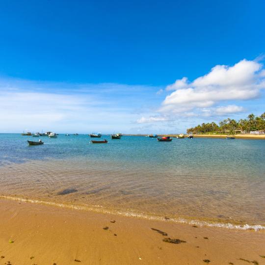 Turtle and whale spotting at Praia do Forte beach