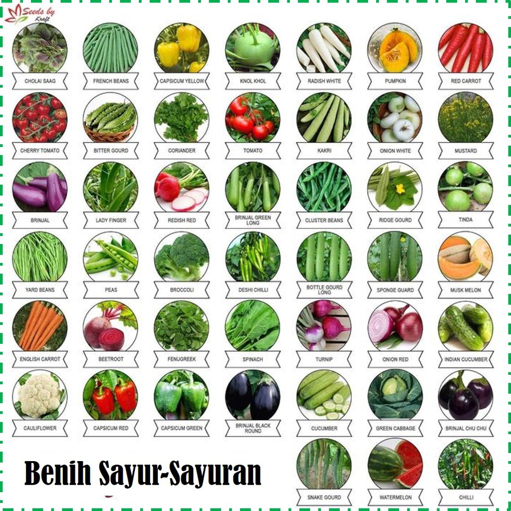 sayur sayuran di malaysia