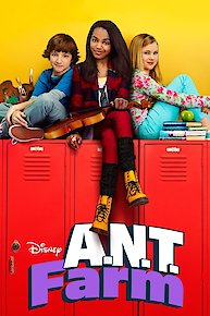 Ant Farm