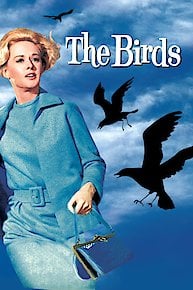 The Birds