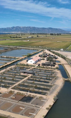 Visita guiada a MónNatura Delta de l'Ebre