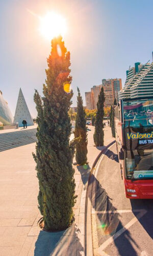 Valencia: Autobús Hop-on Hop-off de 48 horas con Línea Albufera + Paseo en Barco