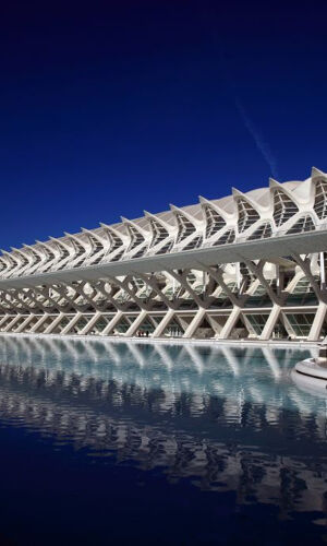 Museo de las Ciencias Valencia: Entrada sin colas