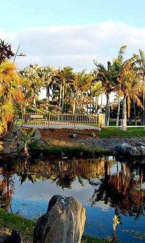 Palmetum de Santa Cruz de Tenerife: Entrada