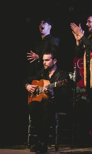 Casa Ana Granada: Espectáculo Flamenco Tradicional