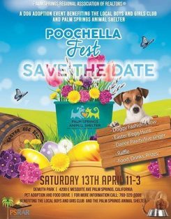 poochella fundraiser