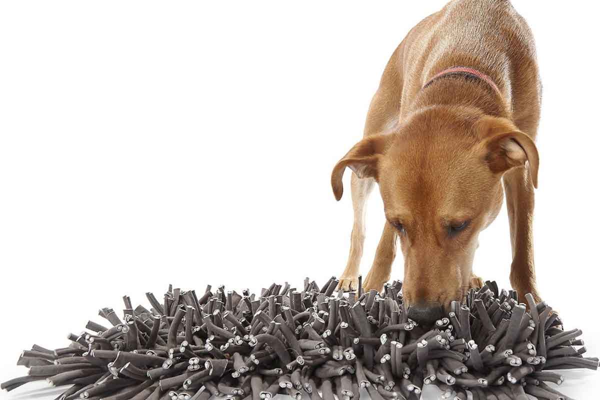 paw5 snuffle mat