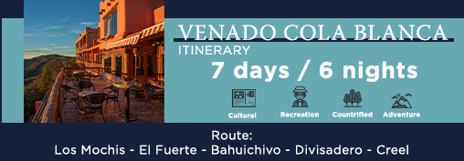 Chepe - Venado Cola Blanca Itinerary