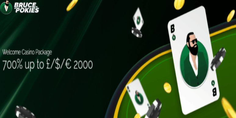 Bruce Pokies Casino Review