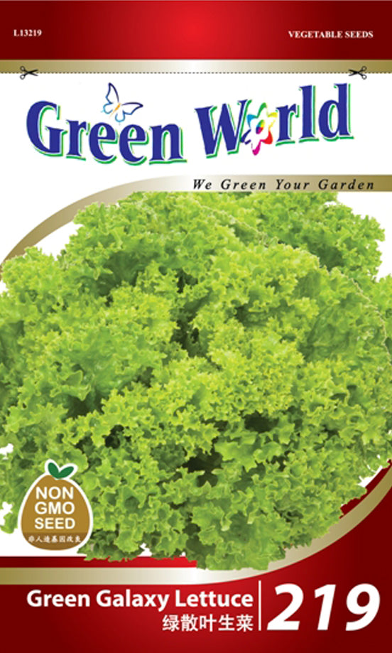 Green Galaxy Lettuce