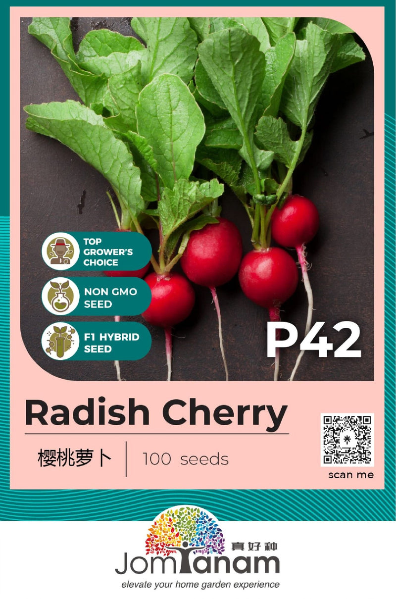 F1 Cherry Radish P42