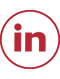 LinkedIn Logo