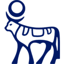 Novo Nordisk transparent PNG icon