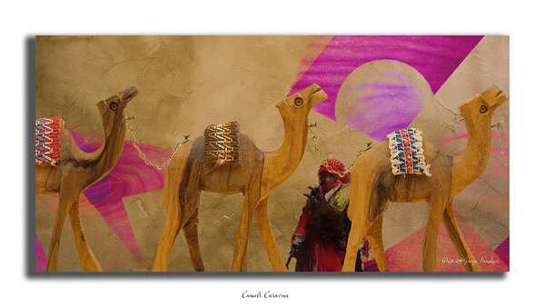 Camels Caravan copy.jpg