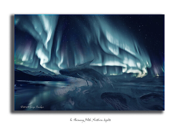 In Harmony With Northern Lights copy.jpg