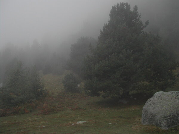 Paesaggio nella nebbia