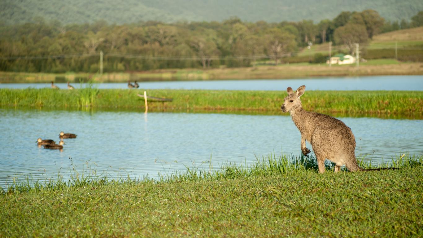 Holidays in Pokolbin