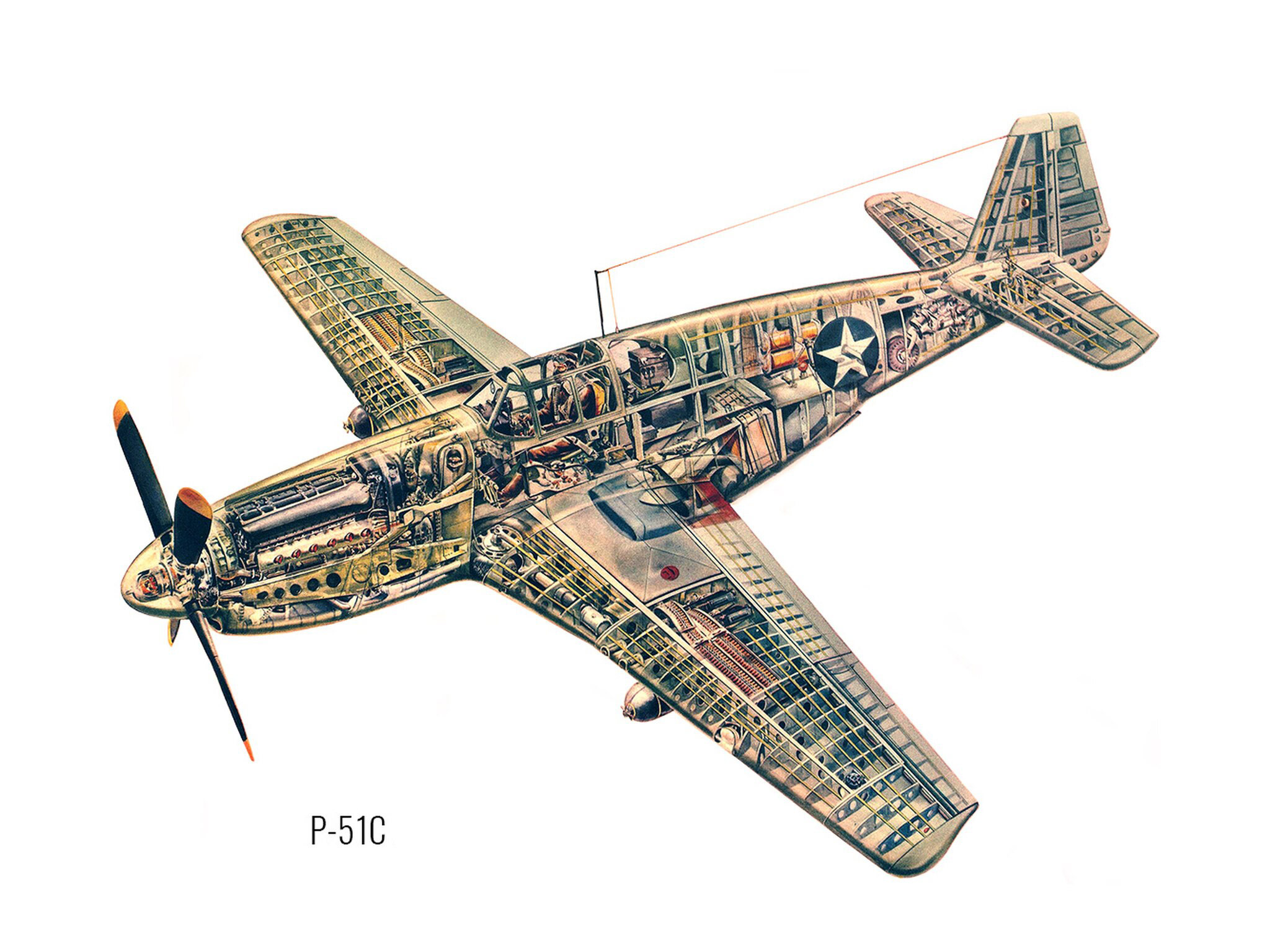 P 51 Mustang Drawings Blueprint