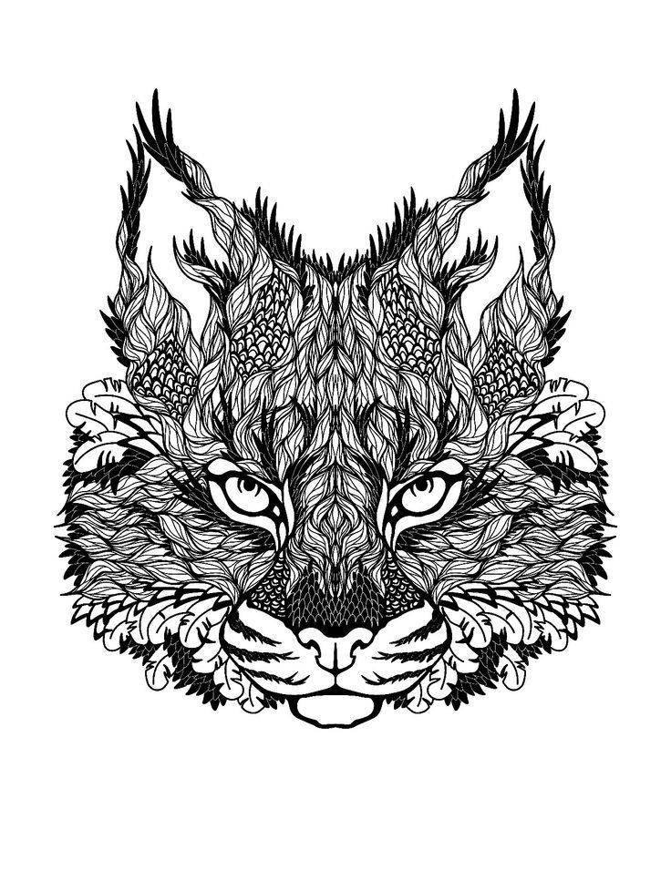 Abstract Lion Coloring Pages - Coloring Pages For All Ages