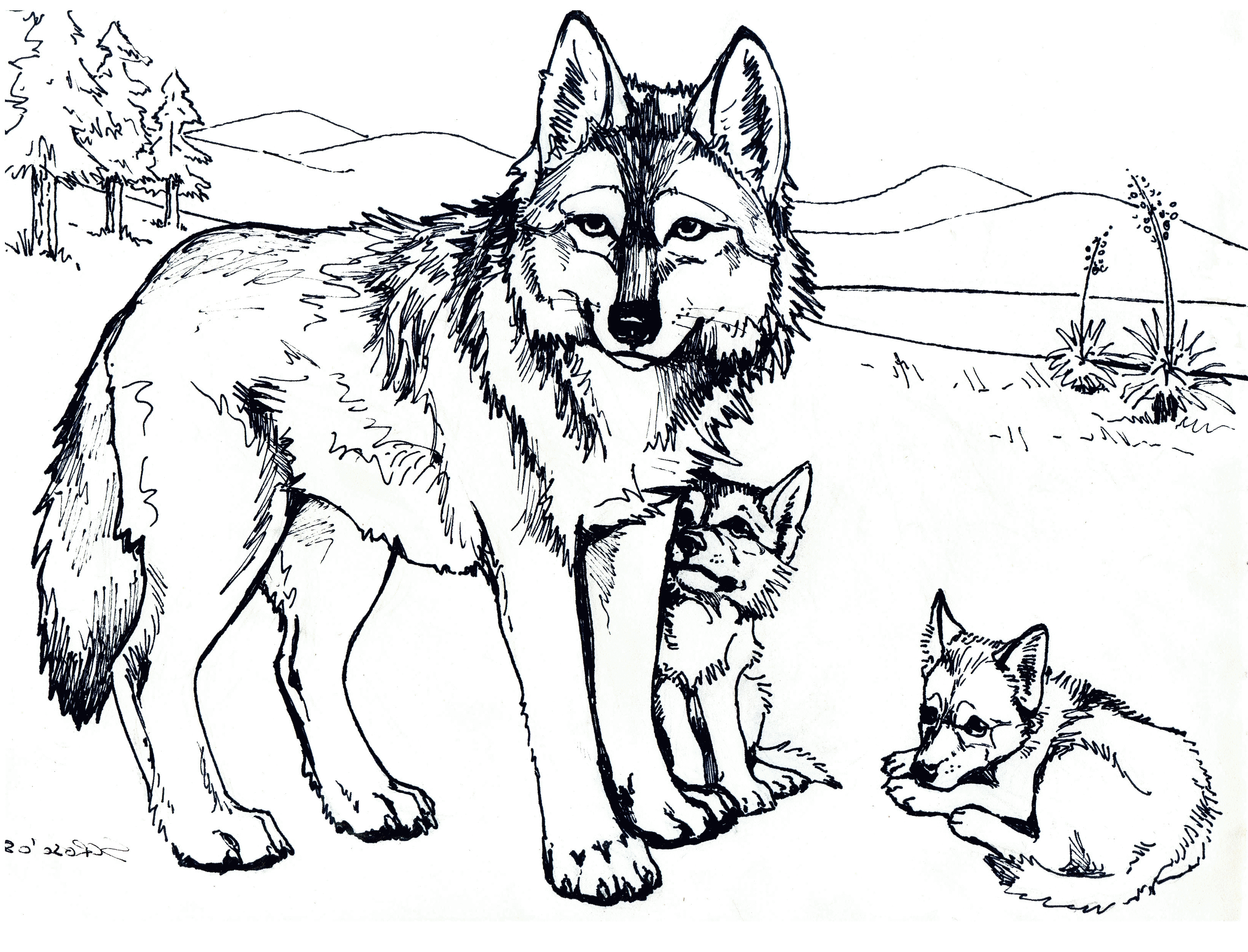 Baby Wolves Coloring Pages - Coloring Page Photos