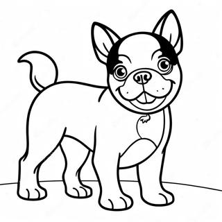 Boston Terrier Kleurplaten