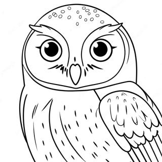 Hedwig Páginas Para Colorir