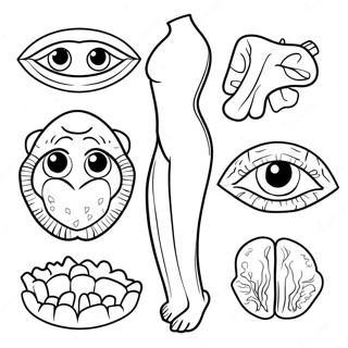 Body Parts Coloring Pages