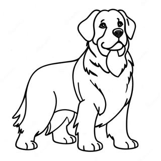 Bernese Mountain Dog Coloring Page 35153-27800