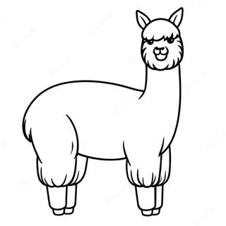 Alpaca Kleurplaten