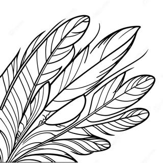 Turkey Feather Coloring Pages