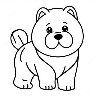 Chow Chow Värityssivut