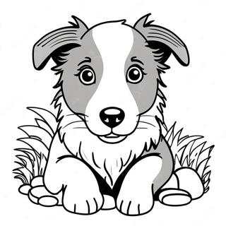 Border Collie Kleurplaten